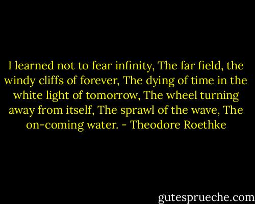 I learned not to fear infinity,<br />The far field, the windy cliffs of forever,<br />The dying of time in the white light of tomorrow,<br />The wheel turning away from itself,<br />The sprawl of the wave,<br />The on-coming water. - Theodore Roethke