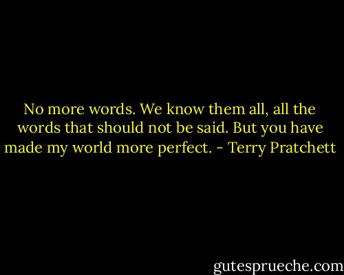 No more words. We know them all, all the words that should not be said. But you have made my world more perfect. - Terry Pratchett