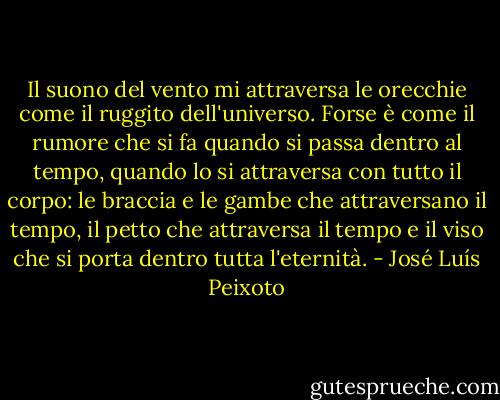 ‎Il suono del vento mi attraversa le orecchie come il ruggito dell'universo. Forse è come il rumore che si fa quando si passa dentro al tempo, quando lo si attraversa con tutto il corpo: le braccia e le gambe che attraversano il tempo, il petto che attraversa il tempo e il viso che si porta dentro tutta l'eternità. - José Luís Peixoto