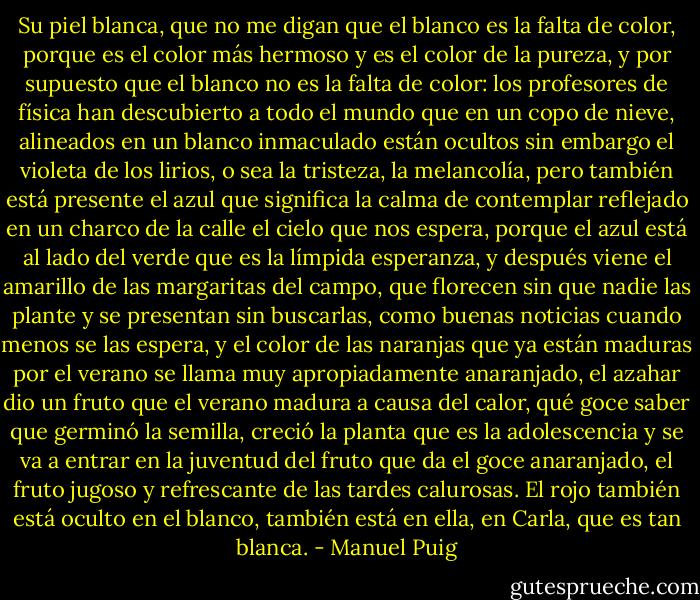 Su piel blanca, que no me digan que el blanco es la falta de color, porque es el color más hermoso y es el color de la pureza, y por supuesto que el blanco no es la falta de color: los profesores de física han descubierto a todo el mundo que en un copo de nieve, alineados en un blanco inmaculado están ocultos sin embargo el violeta de los lirios, o sea la tristeza, la melancolía, pero también está presente el azul que significa la calma de contemplar reflejado en un charco de la calle el cielo que nos espera, porque el azul está al lado del verde que es la límpida esperanza, y después viene el amarillo de las margaritas del campo, que florecen sin que nadie las plante y se presentan sin buscarlas, como buenas noticias cuando menos se las espera, y el color de las naranjas que ya están maduras por el verano se llama muy apropiadamente anaranjado, el azahar dio un fruto que el verano madura a causa del calor, qué goce saber que germinó la semilla, creció la planta que es la adolescencia y se va a entrar en la juventud del fruto que da el goce anaranjado, el fruto jugoso y refrescante de las tardes calurosas. El rojo también está oculto en el blanco, también está en ella, en Carla, que es tan blanca. - Manuel Puig