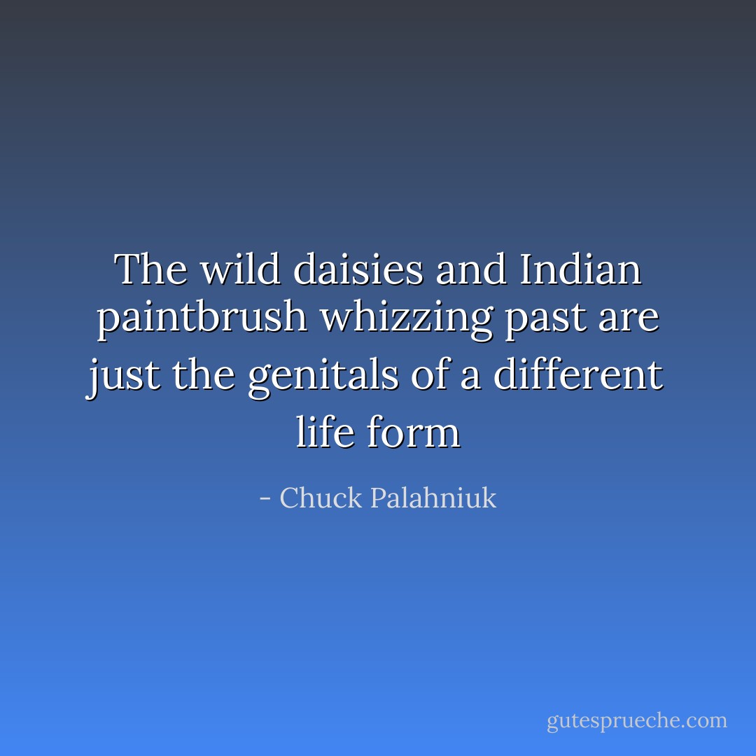 The wild daisies and Indian paintbrush whizzing past are just the genitals of a different life form - Chuck Palahniuk