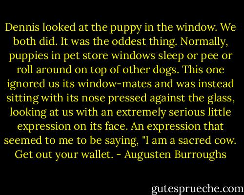 Dennis looked at the puppy in the window. We both did. It was the oddest thing. Normally, puppies in pet store windows sleep or pee or roll around on top of other dogs. This one ignored us its window-mates and was instead sitting with its nose pressed against the glass, looking at us with an extremely serious little expression on its face. An expression that seemed to me to be saying, "I am a sacred cow. Get out your wallet. - Augusten Burroughs