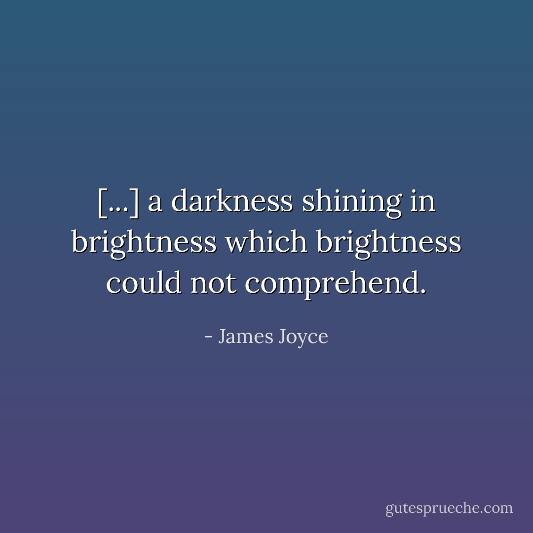[...] a darkness shining in brightness which brightness could not comprehend. - James Joyce
