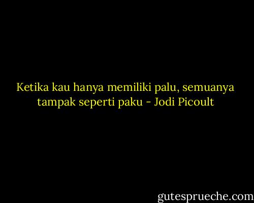 Ketika kau hanya memiliki palu, semuanya tampak seperti paku - Jodi Picoult