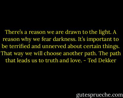 There’s a reason we are drawn to the light. A reason why we fear darkness. It’s important to be terrified and unnerved about certain things. That way we will choose another path. The path that leads us to truth and love. - Ted Dekker
