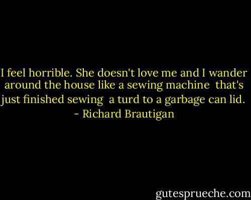I feel horrible. She doesn't<br />love me and I wander around<br />the house like a sewing machine<br /> that's just finished sewing<br /> a turd to a garbage can lid. - Richard Brautigan