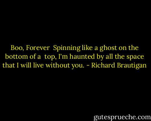 Boo, Forever<br /><br />Spinning like a ghost<br />on the bottom of a <br />top,<br />I'm haunted by all<br />the space that I<br />will live without<br />you. - Richard Brautigan