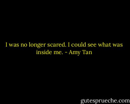I was no longer scared. I could see what was inside me. - Amy Tan