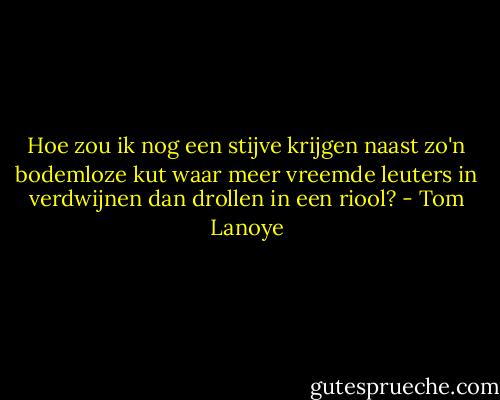Hoe zou ik nog een stijve krijgen naast zo'n bodemloze kut waar meer vreemde leuters in verdwijnen dan drollen in een riool? - Tom Lanoye