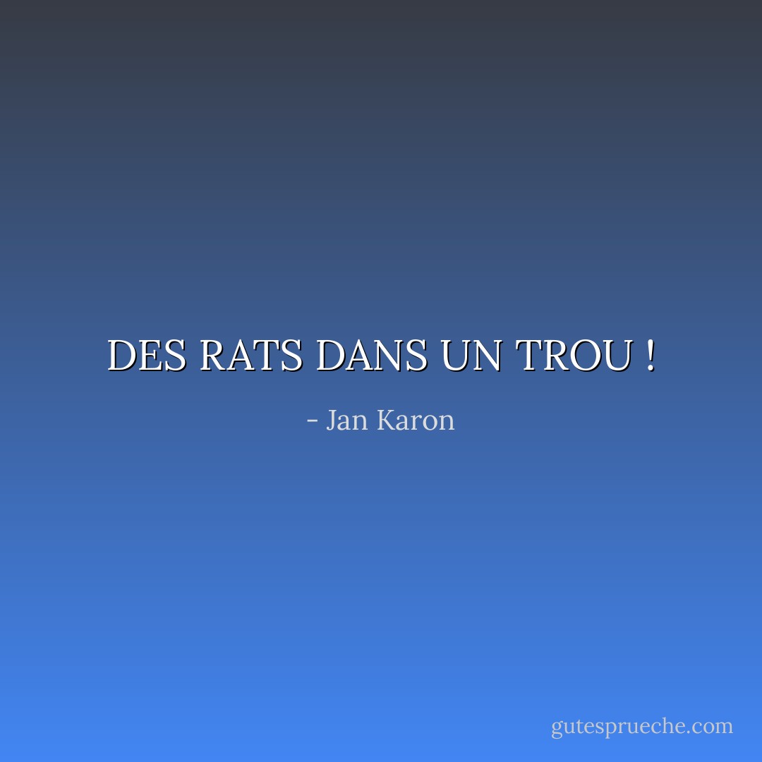 DES RATS DANS UN TROU ! - Jan Karon