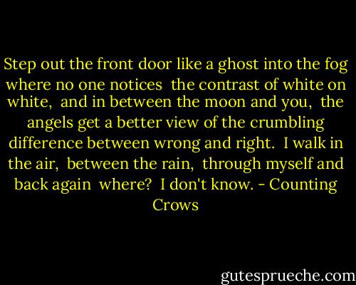 Step out the front door like a ghost<br />into the fog where no one notices <br />the contrast of white on white, <br />and in between the moon and you, <br />the angels get a better view of the crumbling difference between wrong and right. <br />I walk in the air, <br />between the rain, <br />through myself and back again <br />where? <br />I don't know. - Counting Crows