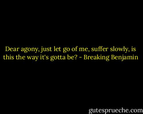 Dear agony,<br />just let go of me,<br />suffer slowly,<br />is this the way it's gotta be? - Breaking Benjamin