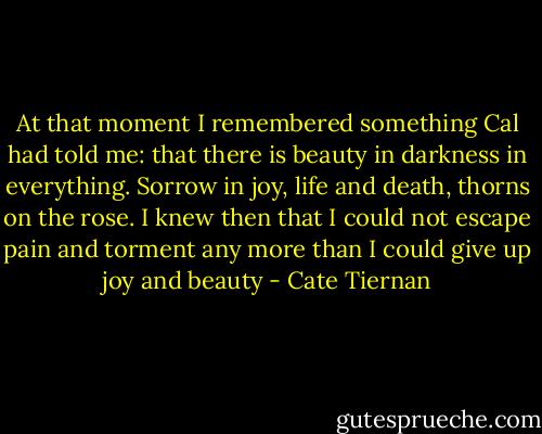 At that moment I remembered something Cal had told me: that there is beauty in darkness in everything. Sorrow in joy, life and death, thorns on the rose. I knew then that I could not escape pain and torment any more than I could give up joy and beauty - Cate Tiernan