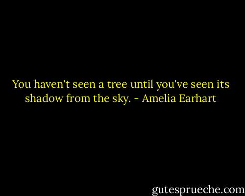 You haven't seen a tree until you've seen its shadow from the sky. - Amelia Earhart