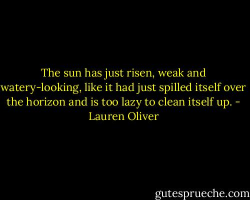 The sun has just risen, weak and watery-looking, like it had just spilled itself over the horizon and is too lazy to clean itself up. - Lauren Oliver