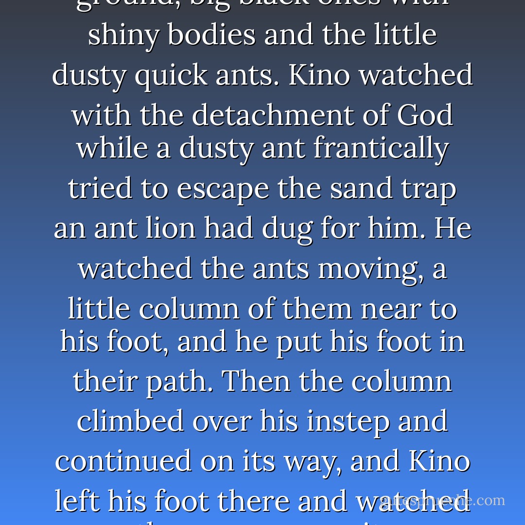 The ants were busy on the ground, big black ones with shiny bodies and the little dusty quick ants. Kino watched with the detachment of God while a dusty ant frantically tried to escape the sand trap an ant lion had dug for him.<br />He watched the ants moving, a little column of them near to his foot, and he put his foot in their path. Then the column climbed over his instep and continued on its way, and Kino left his foot there and watched them move over it. - John Steinbeck