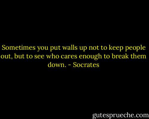 Sometimes you put walls up not to keep people out, but to see who cares enough to break them down. - Socrates