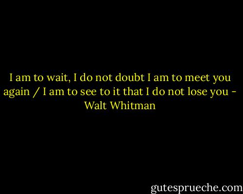 I am to wait, I do not doubt I am to meet you again / I am to see to it that I do not lose you - Walt Whitman