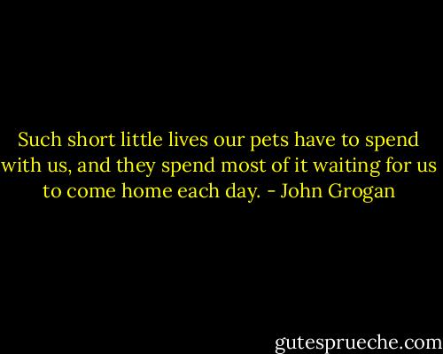 Such short little lives our pets have to spend with us, and they spend most of it waiting for us to come home each day. - John Grogan