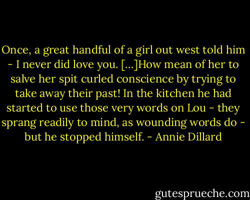 Once, a great handful of a girl out west told him - I never did love you. […]How mean of her to salve her spit curled conscience by trying to take away their past! In the kitchen he had started to use those very words on Lou - they sprang readily to mind, as wounding words do - but he stopped himself. - Annie Dillard