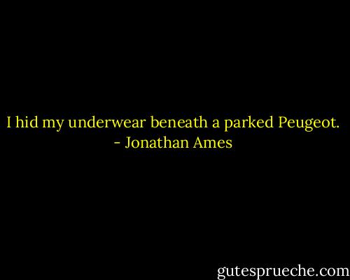 I hid my underwear beneath a parked Peugeot. - Jonathan Ames