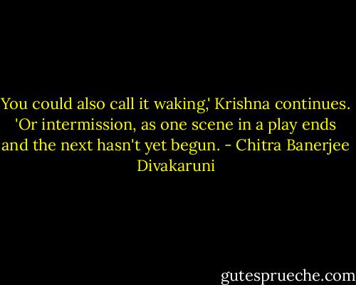 You could also call it waking,' Krishna continues. 'Or intermission, as one scene in a play ends and the next hasn't yet begun. - Chitra Banerjee Divakaruni