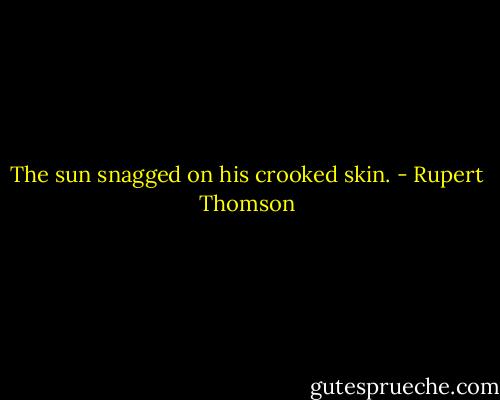 The sun snagged on his crooked skin. - Rupert Thomson