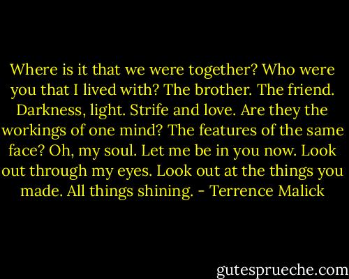 Where is it that we were together? Who were you that I lived with? The brother. The friend. Darkness, light. Strife and love. Are they the workings of one mind? The features of the same face? Oh, my soul. Let me be in you now. Look out through my eyes. Look out at the things you made. All things shining. - Terrence Malick
