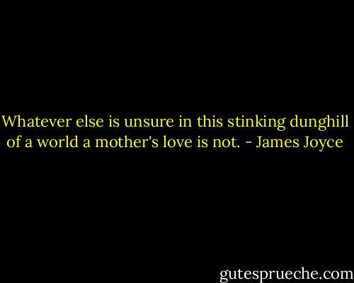 Whatever else is unsure in this stinking dunghill of a world a mother's love is not. - James Joyce