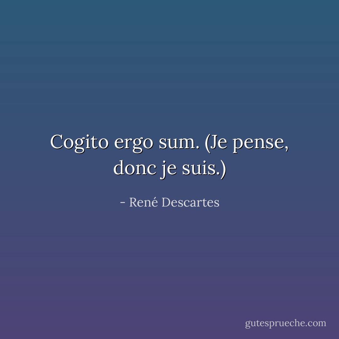 Cogito ergo sum. <i>(Je pense, donc je suis.)</i> - René Descartes
