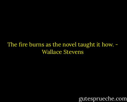 The fire burns as the novel taught it how. - Wallace Stevens