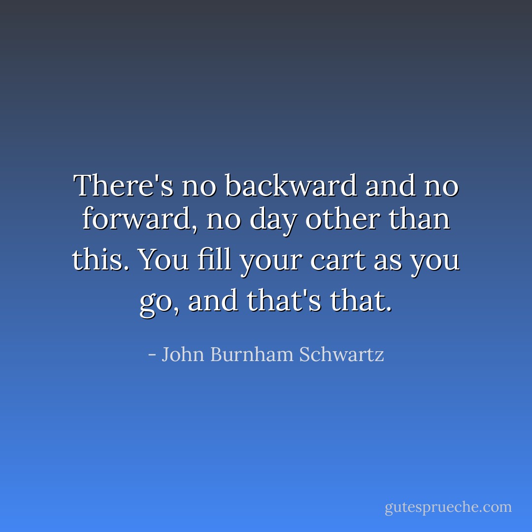 There's no backward and no forward, no day other than this. You fill your cart as you go, and that's that. - John Burnham Schwartz