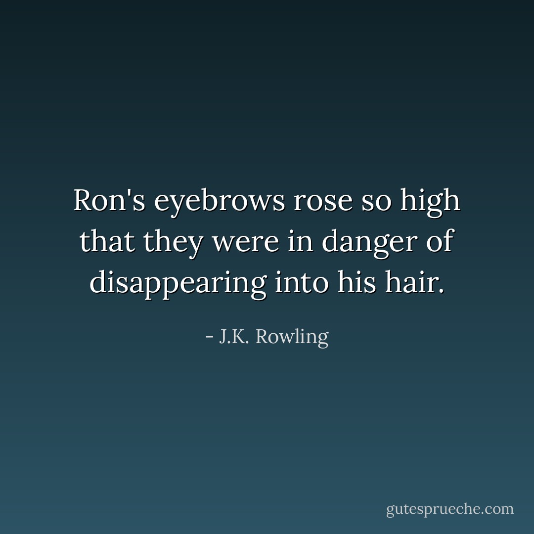 Ron's eyebrows rose so high that they were in danger of disappearing into his hair. - J.K. Rowling
