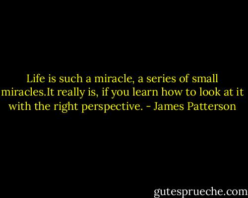 Life is such a miracle, a series of small miracles.It really is, if you learn how to look at it with the right perspective. - James Patterson