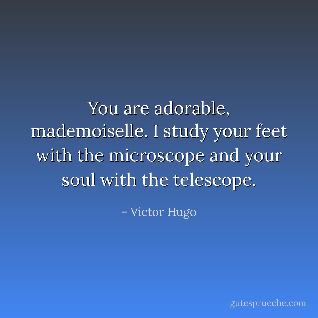 You are adorable, mademoiselle. I study your feet with the microscope and your soul with the telescope. - Victor Hugo