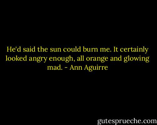 He'd said the sun could burn me. It certainly looked angry enough, all orange and glowing mad. - Ann Aguirre