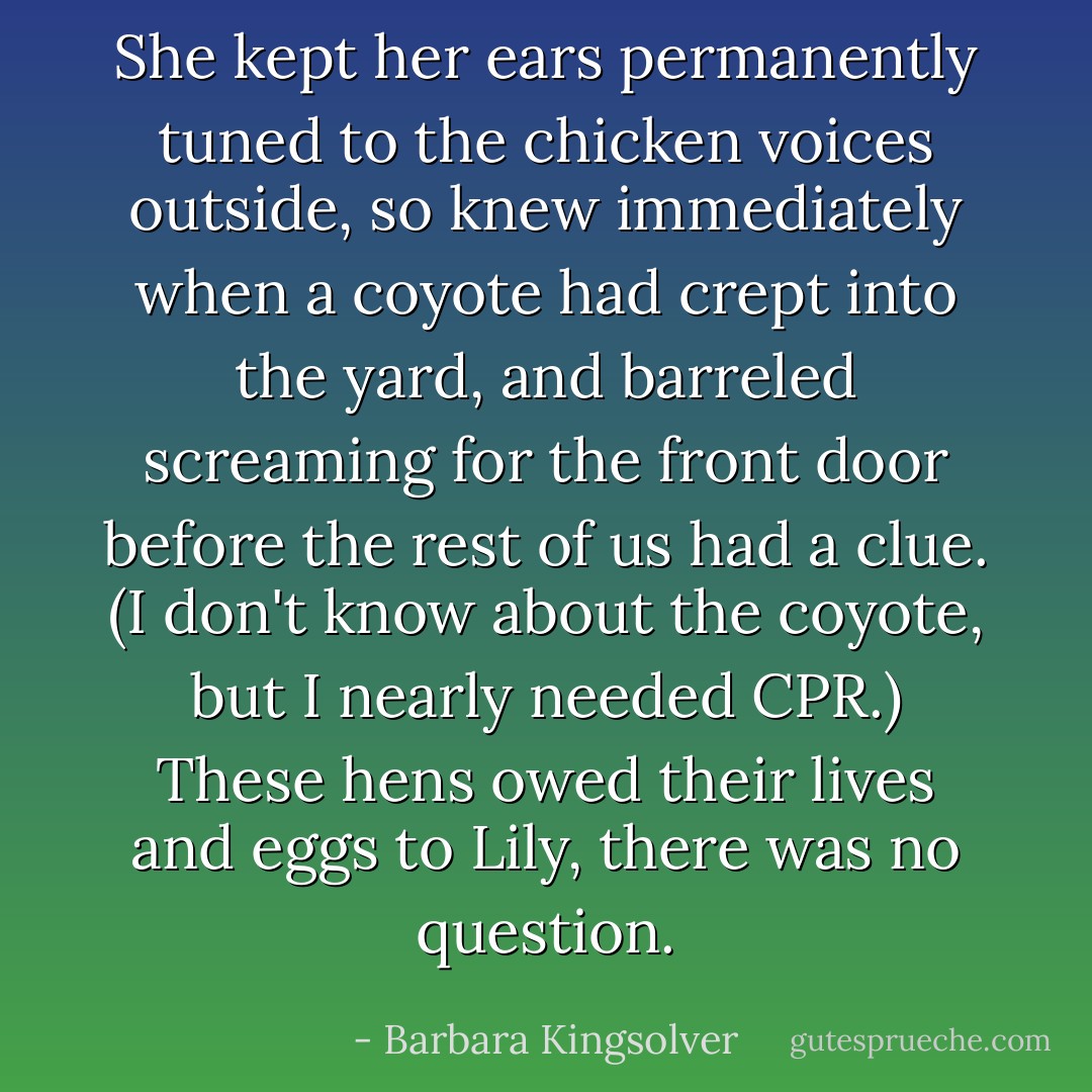 She kept her ears permanently tuned to the chicken voices outside, so knew immediately when a coyote had crept into the yard, and barreled screaming for the front door before the rest of us had a clue. (I don't know about the coyote, but I nearly needed CPR.) These hens owed their lives and eggs to Lily, there was no question. - Barbara Kingsolver