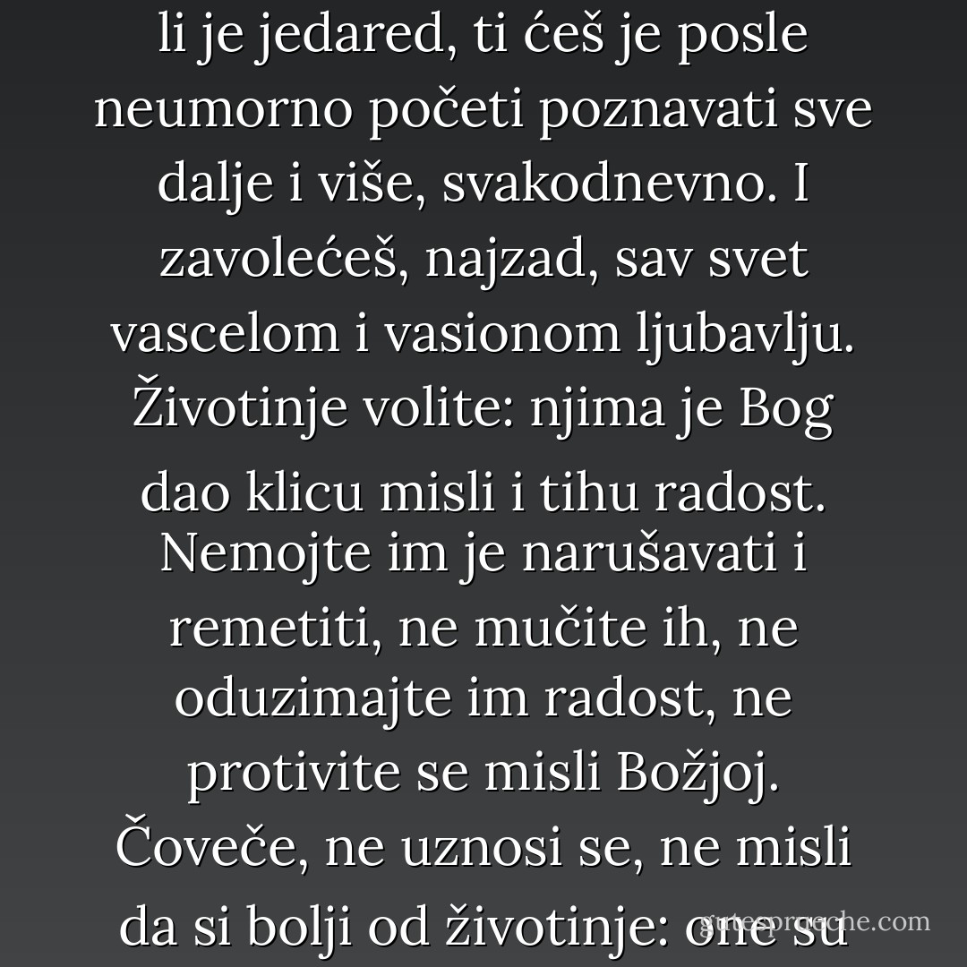 Braćo, ne bojte se grehova ljudskih, volite čoveka i u grehu njegovom, jer kad ko voli čoveka grešnog, to je već slika Božanske ljubavi i vrhunac je ljubavi na zemlji. Volite sve stvorenje Božje i celokupno i svaku mrvicu. Svaki listić, svaku zraku Božju volite. Volite životinje, volite bilje, volite svaku stvar. Budeš li voleo svaku stvar – i tajnu ćeš Božju razumeti u stvarima. A shvatiš li je jedared, ti ćeš je posle neumorno početi poznavati sve dalje i više, svakodnevno. I zavolećeš, najzad, sav svet vascelom i vasionom ljubavlju. Životinje volite: njima je Bog dao klicu misli i tihu radost. Nemojte im je narušavati i remetiti, ne mučite ih, ne oduzimajte im radost, ne protivite se misli Božjoj. Čoveče, ne uznosi se, ne misli da si bolji od životinje: one su bezgrešne, a ti, sa svojim veličanstvom, ti samo gnojiš zemlju svojom pojavom, na njoj trag svoj gnojni ostavljaš posle sebe, - i to, avaj, skoro svaki, svaki između nas!<br />Decu volite naročito, jer ona su bezgrešna kao anđeli i žive da bi nas razdragala i usrećila; ona žive zarad čišćenja srdaca naših, kao neki putokaz za nas. Teško onome ko uvredi dete... - Fyodor Dostoevsky