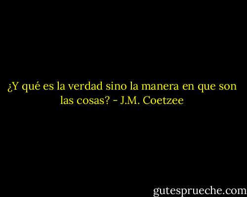 ¿Y qué es la verdad sino la manera en que son las cosas? - J.M. Coetzee