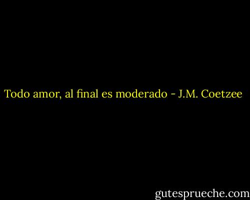 Todo amor, al final es moderado - J.M. Coetzee