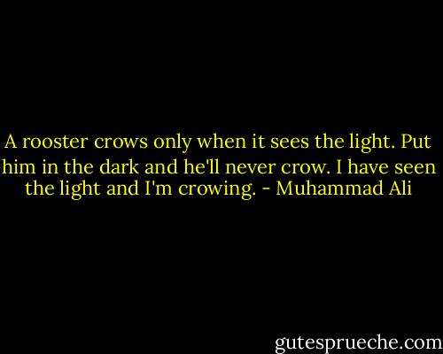A rooster crows only when it sees the light. Put him in the dark and he'll never crow. I have seen the light and I'm crowing. - Muhammad Ali