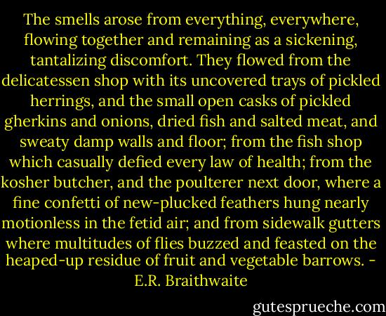 The smells arose from everything, everywhere, flowing together and remaining as a sickening, tantalizing discomfort. They flowed from the delicatessen shop with its uncovered trays of pickled herrings, and the small open casks of pickled gherkins and onions, dried fish and salted meat, and sweaty damp walls and floor; from the fish shop which casually defied every law of health; from the kosher butcher, and the poulterer next door, where a fine confetti of new-plucked feathers hung nearly motionless in the fetid air; and from sidewalk gutters where multitudes of flies buzzed and feasted on the heaped-up residue of fruit and vegetable barrows. - E.R. Braithwaite