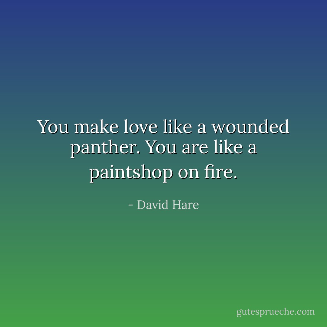 You make love like a wounded panther. You are like a paintshop on fire. - David Hare