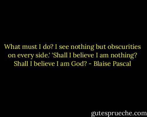 What must I do? I see nothing but obscurities on every side.'<br />'Shall I believe I am nothing? Shall I believe I am God? - Blaise Pascal