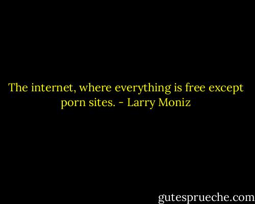 The internet, where everything is free except porn sites. - Larry Moniz