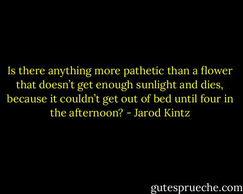 Is there anything more pathetic than a flower that doesn’t get enough sunlight and dies, because it couldn’t get out of bed until four in the afternoon? - Jarod Kintz