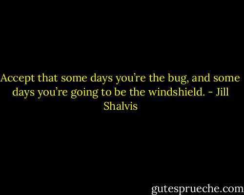 Accept that some days you’re the bug, and some days you’re going to be the windshield. - Jill Shalvis