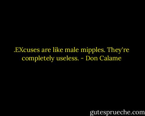 .EXcuses are like male mipples. They're completely useless. - Don Calame