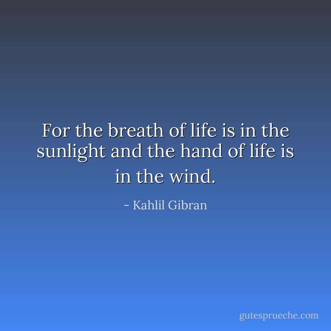 For the breath of life is in the sunlight and the hand of life is in the wind. - Kahlil Gibran