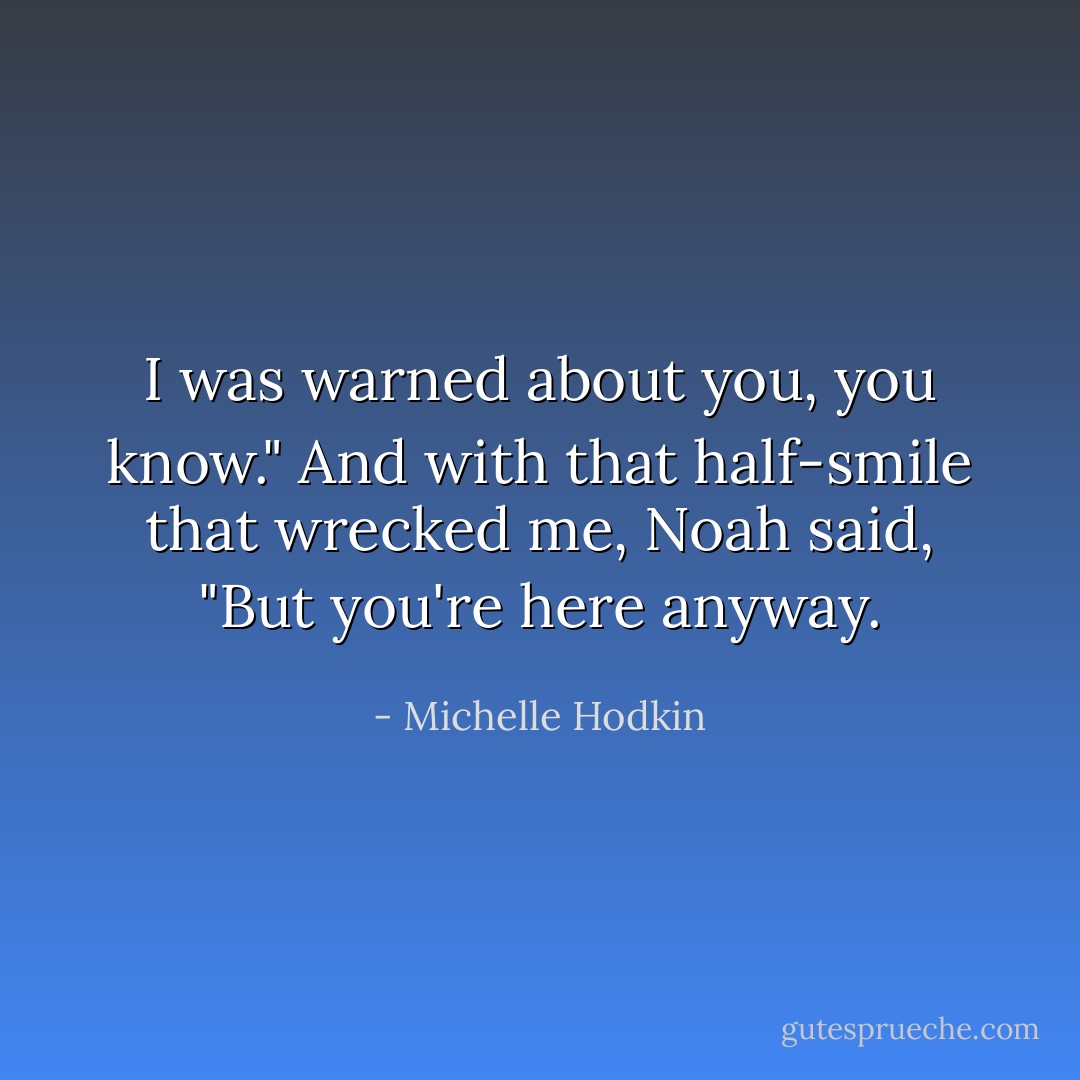 I was warned about you, you know."<br />And with that half-smile that wrecked me, Noah said, "But you're here anyway. - Michelle Hodkin
